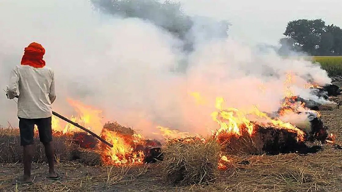 Stubble burning can be controlled if farmers are compensated Punjab