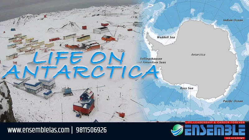 Life On Antarctica