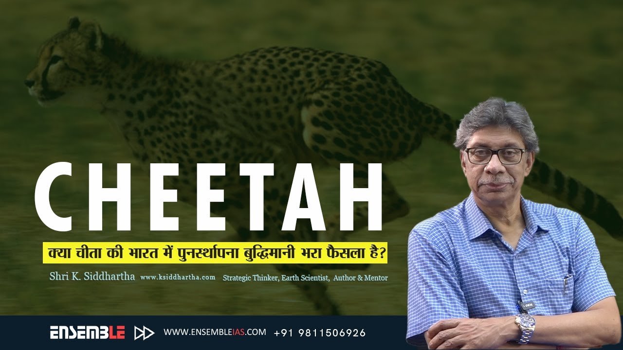 क्या चीता (Cheetah) की भारत में पुनर्स्थापना बुद्धिमानी भरा फैसला है?