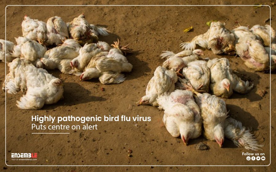 Highly Pathogenic avian influenza Virus Puts Centre on Alert