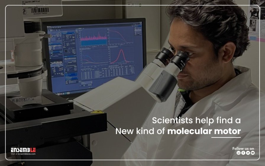 Bengaluru scientists help find new kind of molecular motor