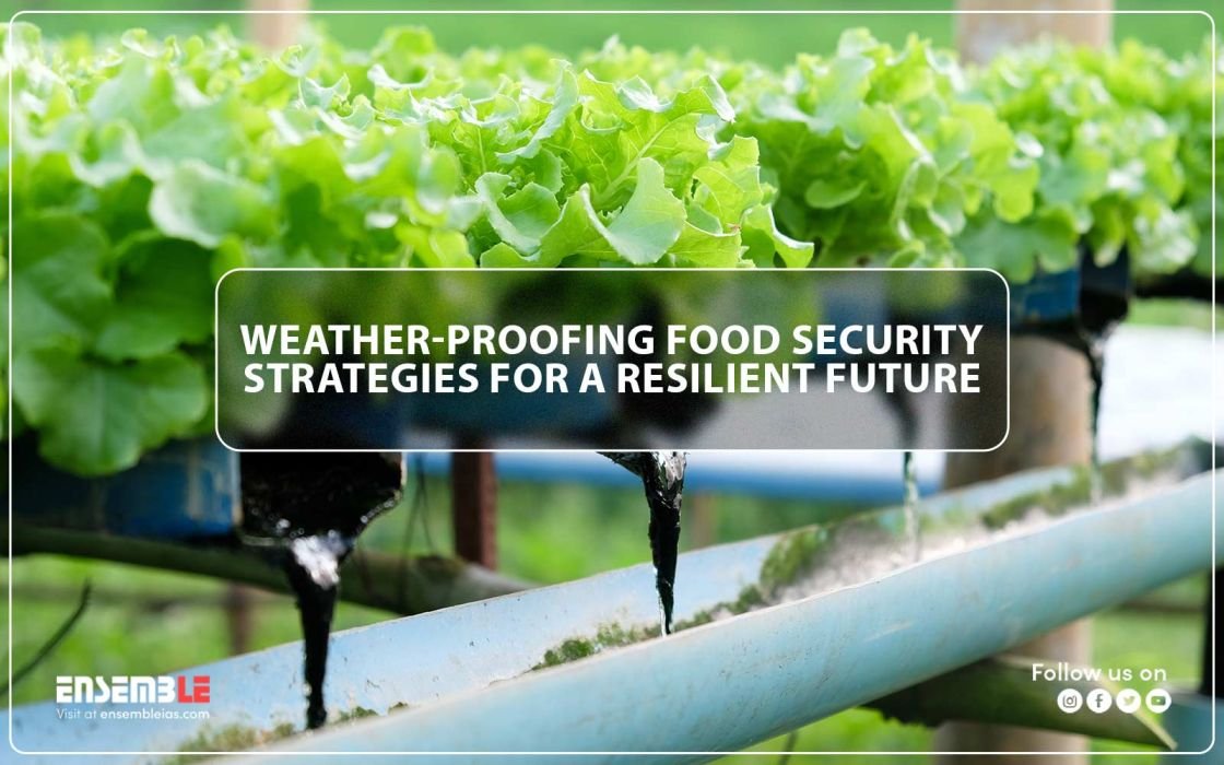 Weather-Proofing Food Security