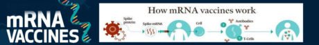 First Omicron-Specific mRNA Vaccine - work
