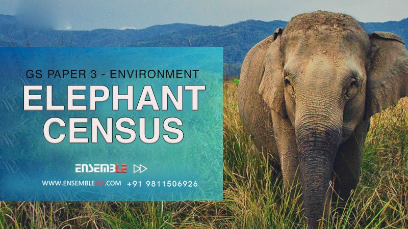 Elephant Census