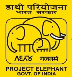 Project Elephant