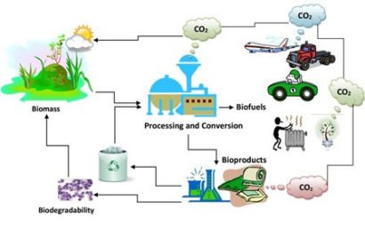 Bio-Fuel-Sustainability1