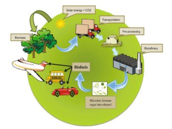 Bio-Fuel Sustainability5