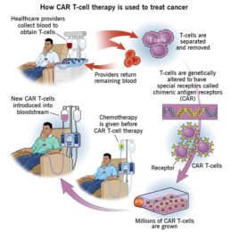 CAR-T-Cell-Therapy-india