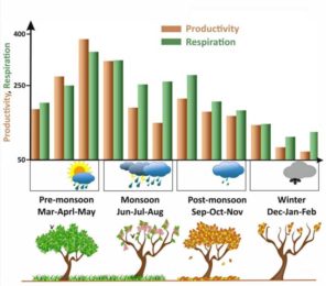 Carbon-Footprint_1