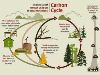 Carbon-Footprint_2