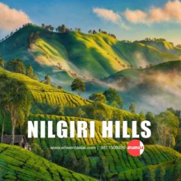 Nilgiri-Hills_Ensemble_IAS_insta_1