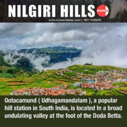 Nilgiri-Hills_Ensemble_IAS_insta_6